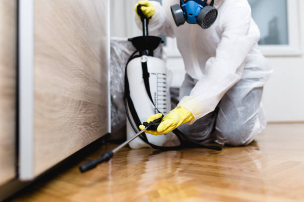 Best Pest Removal Services  in Lyndhurst, VA